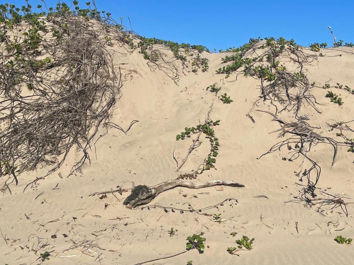 شقة Eden Wilds 72 بورت إدوارد المظهر الخارجي الصورة
